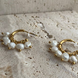 Pearliii Earrings 14k Gold Plated