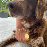 PAWSITIVE VIBES set gold