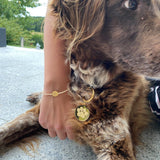 PAWSITIVE VIBES set gold