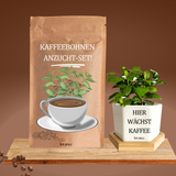 KAFFEEBOHNEN-ANZUCHT-SET